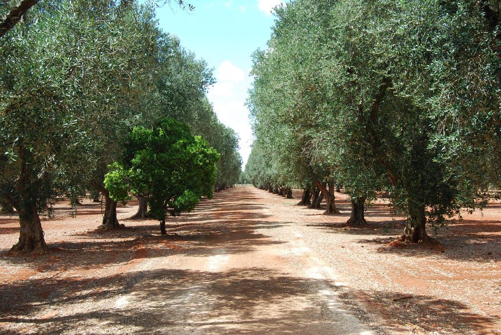 Terra Di Leuca Salve Exterior foto
