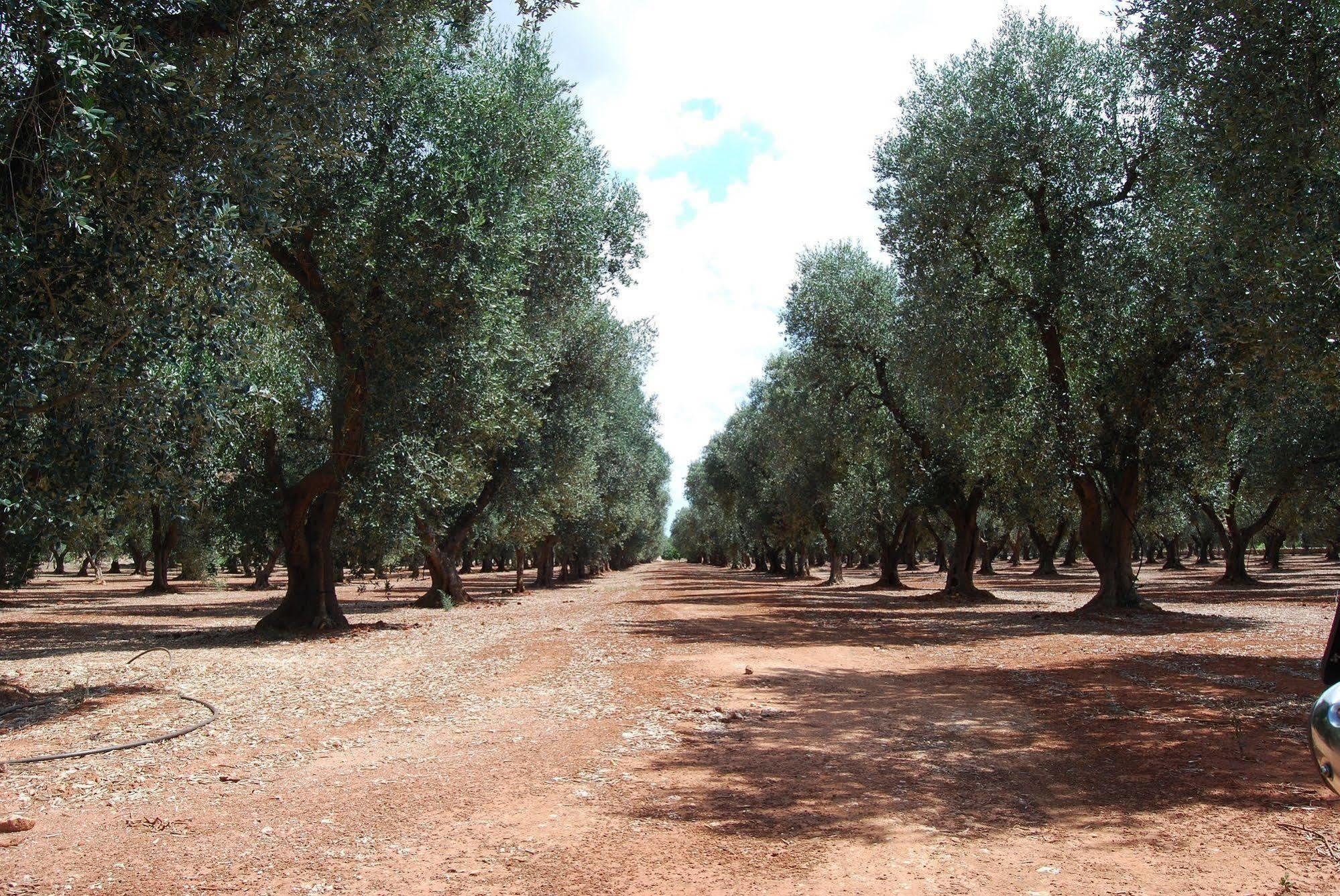 Terra Di Leuca Salve Exterior foto