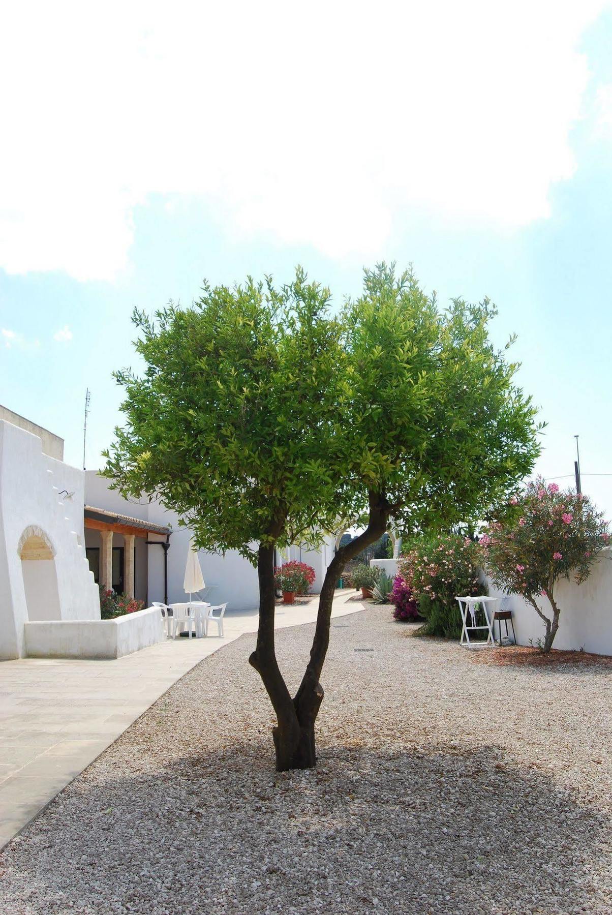 Terra Di Leuca Salve Exterior foto